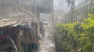 Walking in the Heavy Rain and Thunder in the Red Soil Village, Refreshing and Calming