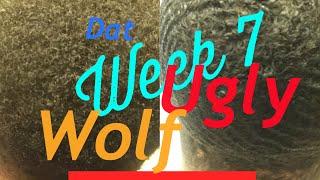 7 Weeks Of 10 Wolfing Challenge (Afro To Waves)