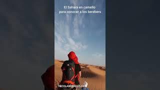 Desierto del #Sahara en camello con #bereberes