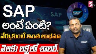 SAP Course Job Opportunities in Telugu | 4 Best SAP Online Platforms for fresher and experienced