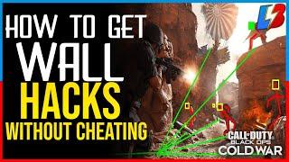 How to Get Wall Hacks In Black Ops Cold War Without Cheating | Call of Duty BootCamp