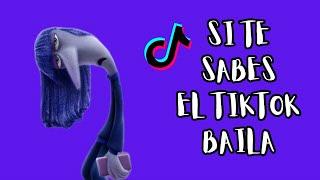 SI TE SABES EL TIKTOK BAILA - 2024