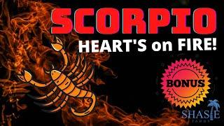 Scorpio November 2021 HEARTS ON FIRE! TWIN FLAME  GOING for IT! NEW LOVE!️‍ Tarot love reading