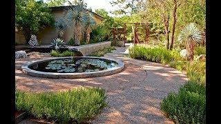 Goodbye Lawn: Hello to Wildlife & Serene Courtyard Living | Central Texas Gardener