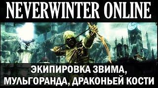 NEVERWINTER ONLINE - Экипировка Звима, Мульгоранда, Драконьей кости