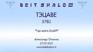 ТЭЦАВЕ 5781. "Где взять Елей?" (А.Огиенко 27.02.2021)