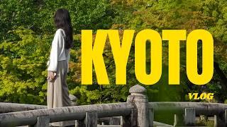 kyoto vlog | best food, cafés, temples & shrines, bamboo forest