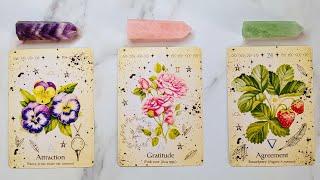 YOUR WISH IS COMING TRUE! WHICH ONE?  Pick A Card  Timeless Tarot Reading