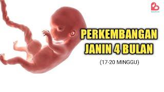 Perkembangan Janin yang Ideal Usia 4 Bulan, Janin Mulai Bergerak!?