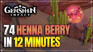 Henna Berry Locations | Fast and Efficient Farming Route | Ascension Materials |【Genshin Impact】