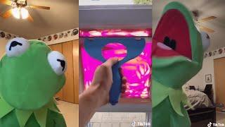 Funniest Kermit The Frog Tiktok Videos Compilation 2023