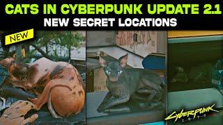 Cyberpunk 2077 NEW SECRET CAT LOCATIONS Update 2.1 | How to Find Cats in Cyberpunk - NEW Easter Egg!