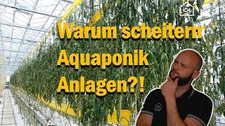 Die häufigsten Gründe für das Scheitern von Aquaponik-Anlagen – und wie du es vermeiden kannst!