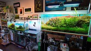 AMAZING Fish Store Tour in Japan! Aqua World Pantanal