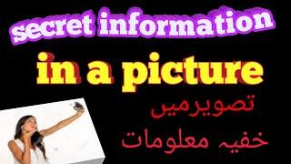 What is Exif data.picture location.image information.image editing.