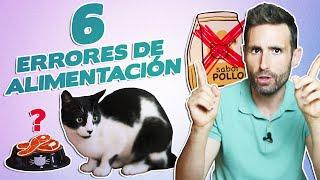 6 ERRORES sobre la ALIMENTACIÓN  de GATOS  y PERROS | No creas todo lo que dicen de la dieta BARF