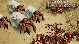 BATTLE ON THE BEACHES! - Empires of the Undergrowth BETA Gameplay | Ep4