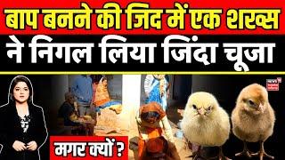 Ambikapur News : जिंदा चूजा निगनले से आदमी की मौत | CG News | Surguja News | Breaking News