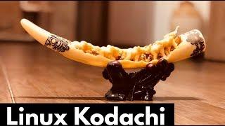 Linux Kodachi 4.0 security OS x Full walk around and how to install it - E13