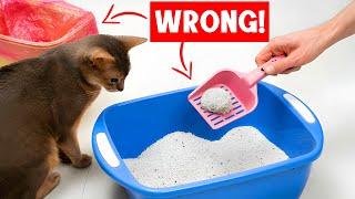 Never make THESE MISTAKES with YOUR CAT'S LITTER BOX! 