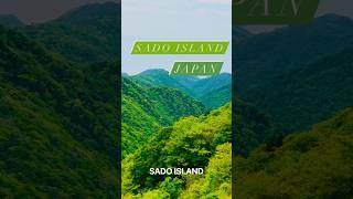 Nature in Sado Island! | Beautiful Plants and Scenery