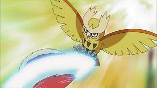 [Pokemon Battle] - Shuckle vs Noctowl