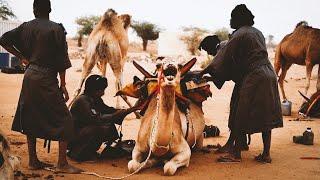 Méharistes, the sentinels of the Sahel | Mauritania
