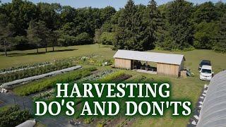 Harvesting Do's and Don'ts | Blue Goose Farm x Lee Valley