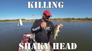 Bass Fishing - Dead Sticking a Shaky Head Worm - #bassfishing