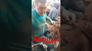 дахшат... тулик видео каналда.  наманган улок купкари