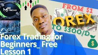 Forex Trading for Beginners Free  Lesson 1