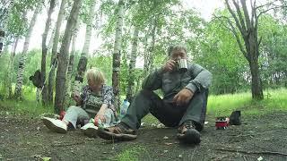 Прогулка по лесу, пикник на лужайке,полет над поляной.A walk through the woods, a picnic on the lawn