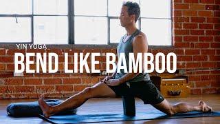 Yin Yoga BEND LIKE BAMBOO l Day 18 - EMPOWERED 30 Day Yoga Journey