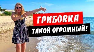 Грибовка. Да он же огромный! Обзор курорта Грибовка. Море, пляж, цены