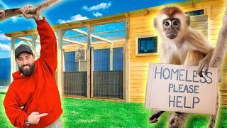 HOW TO BUILD A GARDEN ROOM FOR HOMELESS MONKEYS