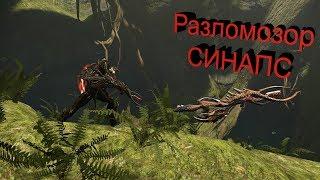 Warframe: разломозор на Синапс (до реворка)