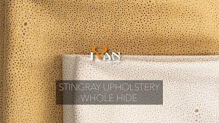 Stingray Upholstery Whole Hide