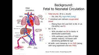 David_Persistent Pulmonary Hypertension in the Neonate (PPHN) 12-2-21