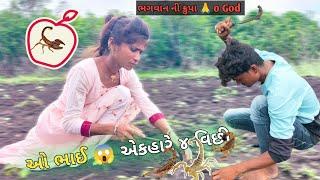 ૪ વિંછી નું ટોળું O Bhai farmer lifestyle vlogs | bichu | family lifestyle | padvi mahesh #vlog -18