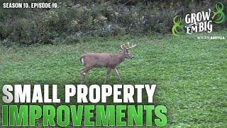 How to Make the Biggest Improvements to a Small Hunting Property