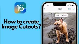 iOS 16 Photo Cutout - How to Lift Subject from Photos or Videos on iPhone/iPad?