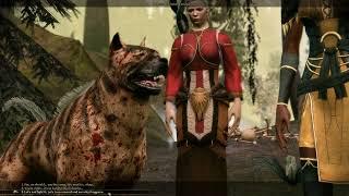 Dragon Age: Origins - Part 20 - Into the werewolf den