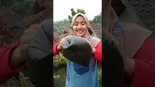 ARSYLA KENA ANGIN KENTUT #shorts #arsyla #viral