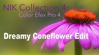 NIK COLLECTION 4 by DXO: COLOR EFEX PRO 4 (Dreamy Coneflower Edit)