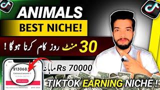 Tiktok Niches: Best Viral Niches For The TikTok Creator rewards program / tiktok monetization 2024