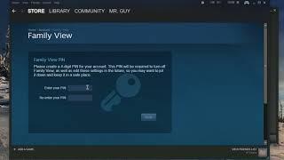 How to use Steam Family View