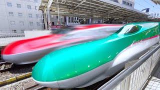 5 Days on Japan’s LONGEST Bullet Train Route  | 2300km Long-Distance-Journey