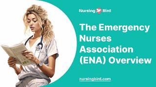 The Emergency Nurses Association (ENA) Overview - Essay Example