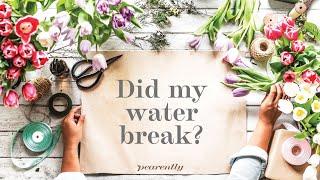 Did my water break? - Amniotic fluid or urine?