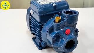 Padrollio PKM60 electric water pump 0 5hp